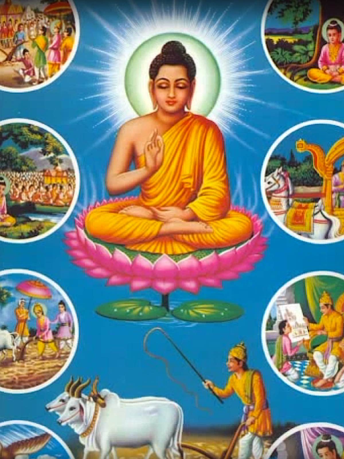 Buddha Weekly Scenes of non violence in Buddhas llife Buddhism