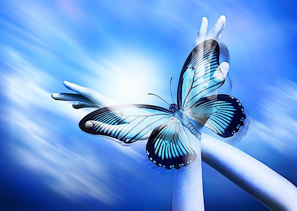 Buddha Weekly Self Rebirth Blue Butterfly Buddhism