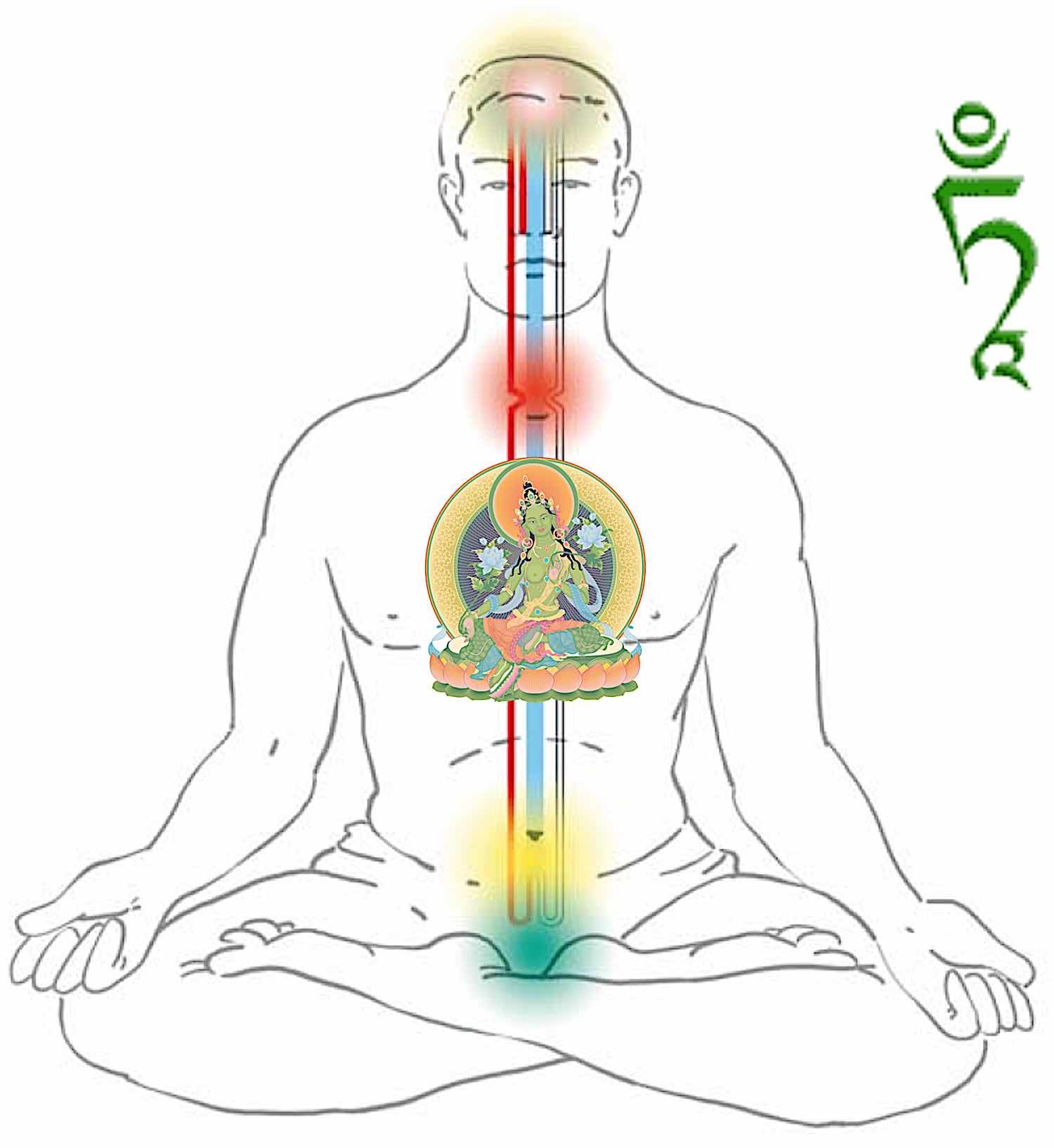 Buddha Weekly Tara at our heart visualized with the channels and chakras Buddhism