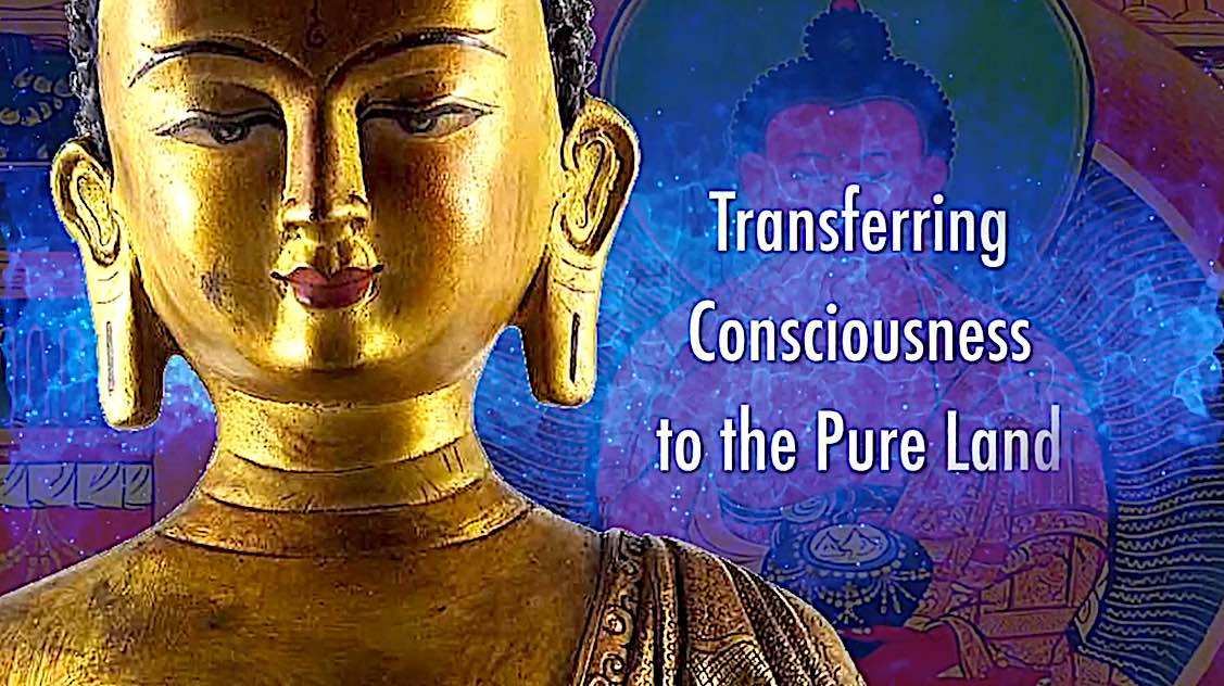 Buddha Weekly Transfering consciousness to Amitabha Pureland Sukhavati Powa Practice H E Zasep Rinpoche Buddhism