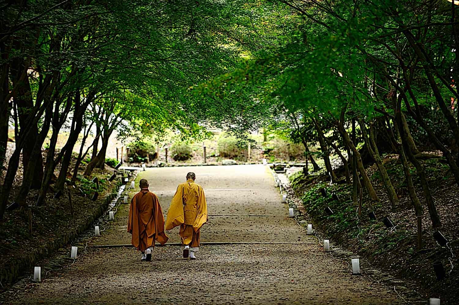 Buddha Weekly Two monks in Japan walking near Kyoto Temple dreamstime l 193899528 Buddhism