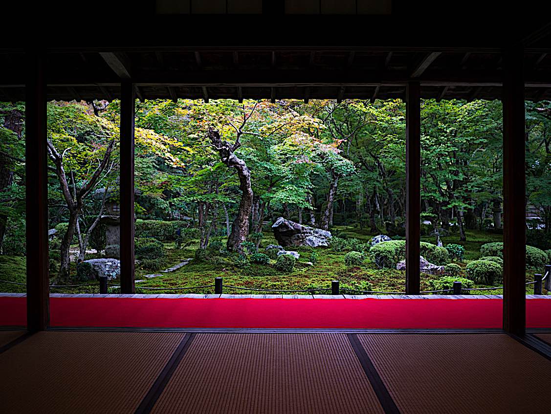 Buddha Weekly Zen garden and Tatami mats room Buddhism