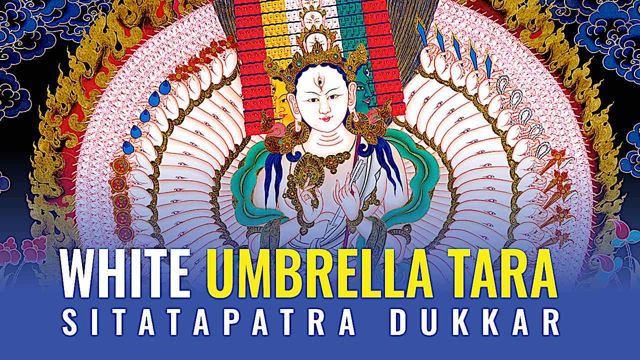 Buddha Weekly white umbrella tara thumbnail buddha weekly Buddhism