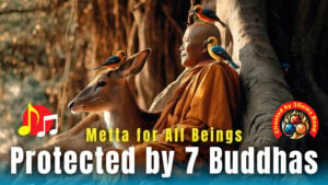Thumbnail for the video Khanda Paritta: Protected by 7 Buddhas.
