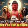 Never Goodbye 1Buddha Weekly