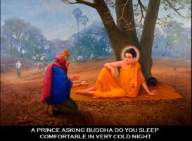 Prince asks Buddha if he is warm when he sleeps