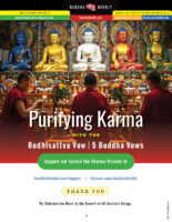 Purifying Karma