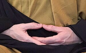 Seated meditation handsBuddha Weekly
