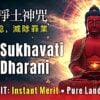 Sukhavati Dharani MV One hour 1Buddha Weekly