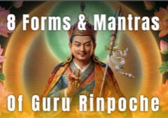8 Forms Guru Rinpoche Video Thumbnail
