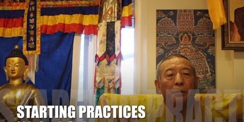 Buddha Weekly Video Advice from the Teachers 6 For the Beginner Starting Practices Buddhism Zasep Tulku Rinpoche