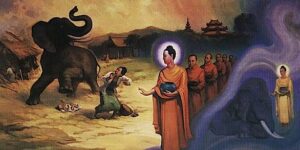 Buddha Weekly Abhaya Mudra Buddha Subdues the fierce elephant released by Devadatta Buddhism custom crop