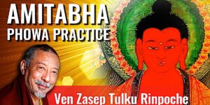 Buddha Weekly Amitabha Phowa Practice Youtube BW Title Buddhism custom crop