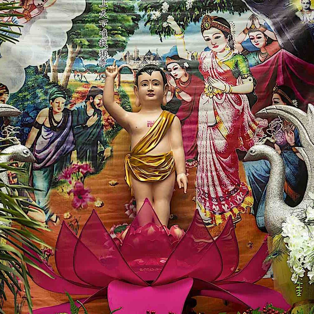 Buddha-Weekly-Baby Buddha the conqueror took seven steps immediately after birth dreamstime_xxl_91402790-Buddhism Buddha`s Birthday is a holiday traditionally celebrated in Mahayana Buddhism to commemorate the birth of the Prince Siddhartha Gautama, later the Gautama Buddha and founder of Buddhism. According to the Theravada Tripitaka scriptures from Pali, meaning `three baskets` Gautama was born in Lumbini in modern-day Nepal, around the year 563 BCE, and raised in Kapilavastu.