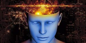 Buddha Weekly Brain function cognitively enhanced by vajrayana meditation according to research Buddhism custom crop
