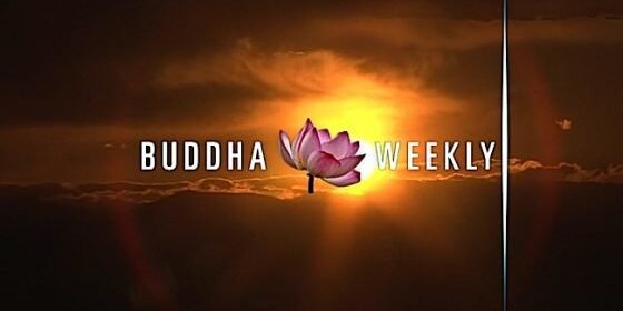 Buddha-Weekly-Buddha Weekly New Video Series Trailer What the Teachers Say-Buddhism