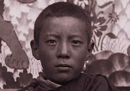 buddha-weekly-cover-a-tulkus-journey-from-tibet-to-canada-book-buddhism