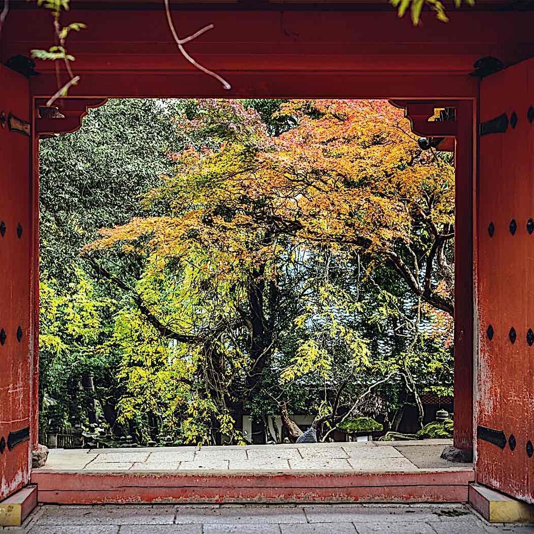 Buddha-Weekly-Doors temple Japan dreamstime_l_43095290-Buddhism