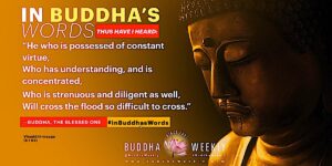 Buddha Weekly In Buddhas Words 3 with hashtag Purification Buddhism custom crop