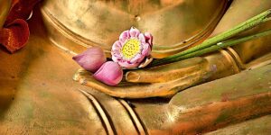 Buddha Weekly Lotus in Buddha hand dreamstime l 20889462 Buddhism custom crop