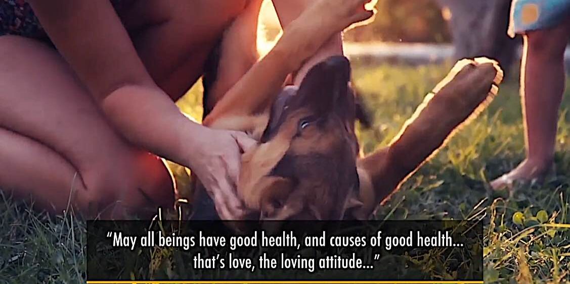 Buddha-Weekly-Medicine Buddha May all beings have good health love immeasurable-Buddhism