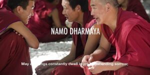 Buddha Weekly Namo Dharma Ya Buddhism custom crop