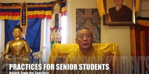 Buddha Weekly Practices for Senior Students Zasep Rinpoche Advice Video 9 Buddhism custom crop