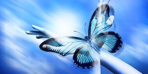 Buddha Weekly Self Rebirth Blue Butterfly Buddhism custom crop