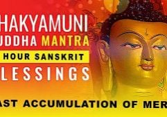 Shakyamuni Buddha Mantra 1 Hour Sanskrit Blessings and Vast Accumulation of Merit Thumbnail for video.