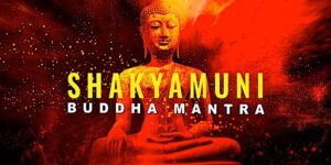 Buddha Weekly Shakyamuni new Buddhism custom crop