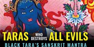 Buddha Weekly Tara Who Destroys all Evils Buddhism custom crop