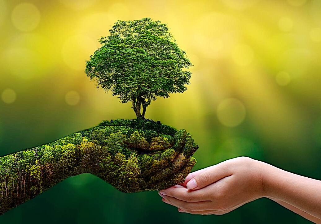 Tara's green hands reaching out to you. Tara is green as a symbol of her Enlightened activity protecting and nourishing the world and all sentient beings.