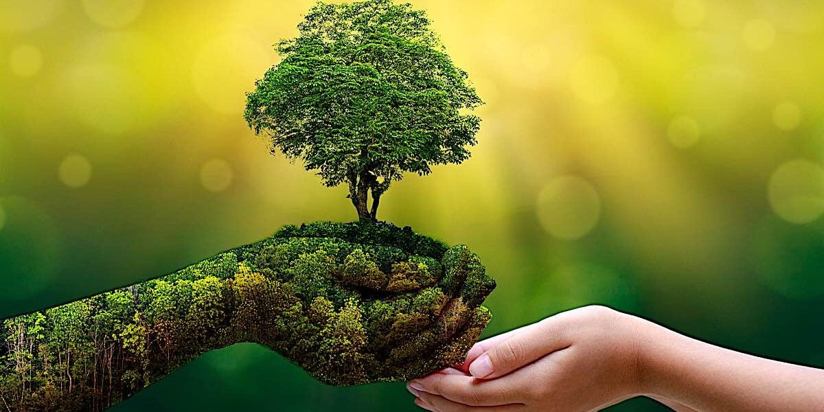Tara's green hands reaching out to you. Tara is green as a symbol of her Enlightened activity protecting and nourishing the world and all sentient beings.