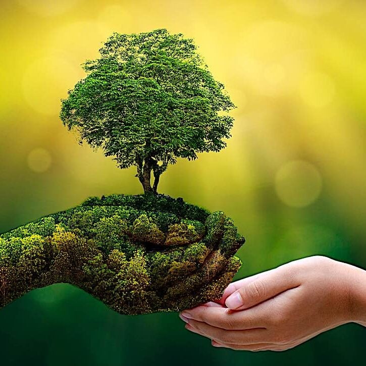 Tara's green hands reaching out to you. Tara is green as a symbol of her Enlightened activity protecting and nourishing the world and all sentient beings.
