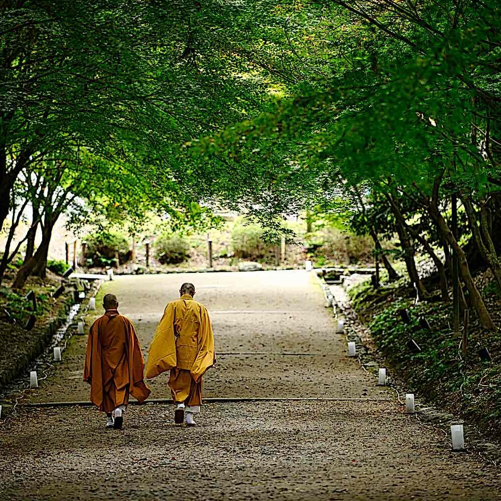 Buddha-Weekly-Two monks in Japan walking near Kyoto Temple dreamstime_l_193899528-Buddhism Two monks walking near a temple in Kyoto, Japan.
