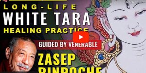 Buddha Weekly White Tara Practice and healing light visualization Buddhism custom crop