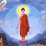 Buddha Weekly feature Buddha Teaching Loving Kindnes sutra discourse Mettanisamsa Sutta buddha teaching custom crop