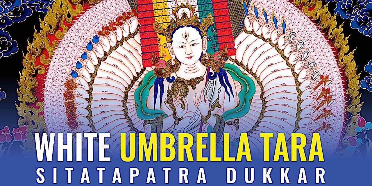 Buddha-Weekly-white umbrella tara thumbnail buddha weekly-Buddhism