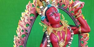 BuddhaWeekly Vajrayogini 20220511 154835 800 1500 2 custom crop