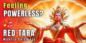 Feeling Powerless 2Buddha Weekly 300x169 panorama bdca04a4a38d459de7e420948c56e4bf