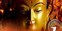 Mantra-Ciollection-1-thumbnail-C