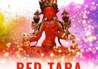 Red-Tara-collection-2