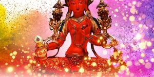 Red Tara collection 2 custom crop