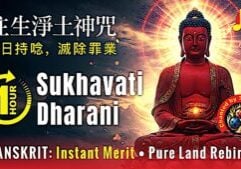 Sukhavati Dharani Music Video Thumbnail