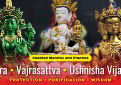 Thumbnail of Tara Vajrasattva Ushnisha VIjaya practice.