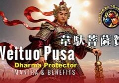 Wei Tuo Pusa  Documentary Video Thumbnail with Music Video Praise of Wei Tuo