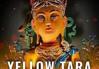 Yellow-Tara-collection