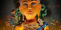 Yellow-Tara-collection