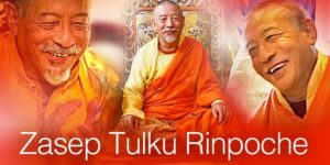 Zasep Tulku Rinpoche 960 2 custom crop