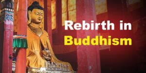 buddhism and rebirth oneness tim custom crop